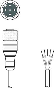 Leuze KD U-M12-5A-V1-250 Bağlantı kablosu