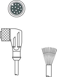 Leuze KD S-M12-CW-P1-050 Bağlantı kablosu