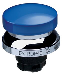 Schmersal EX-RDP40BL Turkiye