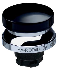 Schmersal EX-RDP40SW Turkiye