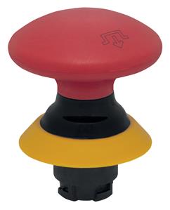 Schmersal NDRZ50GR/RT-2905-1 Turkiye