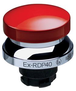 Schmersal EX-RDP40RT Turkiye