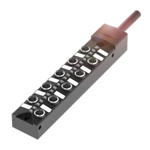 Balluff BPI AM3040-5K-B0-KPXP0-050 Bağlantı blokları