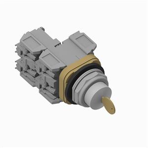 Allen Bradley 800TC-E15H 30 mm Cyl Lock Push-Button 800T PB Turkiye