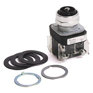 Allen Bradley 800T-QM24 30mm Momentary Push Button 800T PB