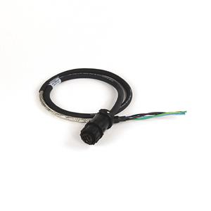 Allen Bradley 2090-CPWM6DF-16AA01 Cable