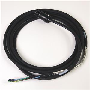 Allen Bradley 2090-CPWM6DF-16AA04 Cable