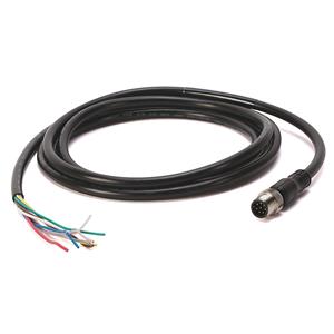 Allen Bradley 889D-M8FB-10 DC Micro Cable
