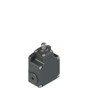 Pizzato FL 508-M2 Position switch with piston plunger Turkiye