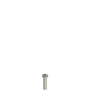 Pizzato VF VAM5X20BW-X Stainless steel security screws