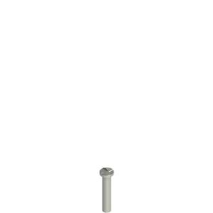 Pizzato VF VAM5X25BW-X Stainless steel security screws