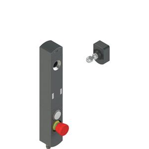 Pizzato NS D4AZ1SRK-F41N113 NS series safety switch with lock and integrated control devices, with actuator