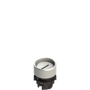 Pizzato E2 1PU2P229L2 Spring-return white booted pushbutton with marking Turkiye