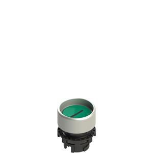 Pizzato E2 1PL2P429L2 Illuminated green booted pushbutton with marking