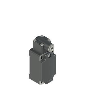 Pizzato FP 538-M2 Position switch for rotating levers Turkiye
