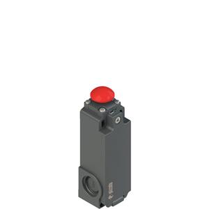 Pizzato FT 2A6314AH-E27 Safety switch with electrical reset Turkiye