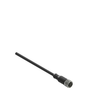 Pizzato VF CA5PD10M M12 female wired connector: straight, 5 poles, 10 m cable Turkiye