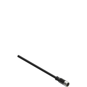 Pizzato VF CA4PD5K M8 female wired connector: straight, 4 poles, 5 m cable