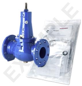 Mankenberg 6644121A WS Maintenance Kit for VRCD (DM 644) | DN 65 (2 1/2 Turkiye