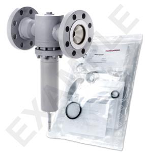 Mankenberg 6621403SA-1   WS Maintenance Kit WS/DM620-80-FA07-160-D083-10-ST-YE-E29-E71 |