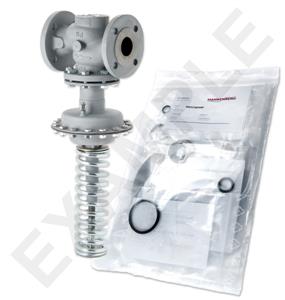 Mankenberg 65434669A-3   WS Maintenance Kit WS/DM604-40-FA13-40-D060-20-CS-YE-E80 |