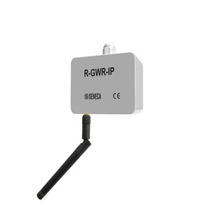 Seneca R-GWR-IP Industrial sensor with digital / analog input