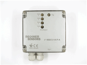 Rechner Sensors KXA-5-1/4MINI-XXL-N-A-1-KL-Y90