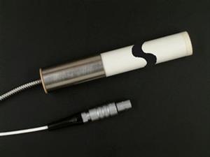 Rechner Sensors KFS-5-1-GL-170-10-PTFE/MS-Y95 Capacitive Level Measurement Systems (KFI / KFS / KFA / KFX)