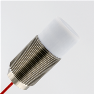 Rechner Sensors IS-250-M32/65-X-M32-PTFE/VAb-250C-X05/Y22-0 Inductive Sensors (IAS)