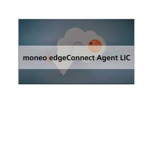 IFM moneo edgeConnect Agent LIC ifm Agent yazılımı ile haberleşme için lisans