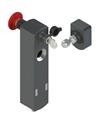 Leuze L250-P41SL-M12B12-KYPB-UCA Emniyet kilitleme cihazı