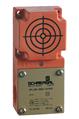 Schmersal IFL 30-384-11P-M20
