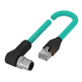Balluff BCC M424-E894-8G-672-ES64N9-300 Çift uçlu kablo setleri