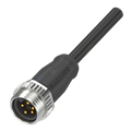 Balluff BCC A315-0000-20-063-PX05A5-060 Tek uçlu kablo setleri