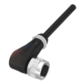 Balluff BCC M425-0000-1A-003-PH0434-100-CNX0 Tek uçlu kablo setleri