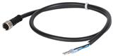 Euchner C-M08F04-04X025PV02,0-ES-088812 Connecting cable with plug connector M8, 4-pin, 2 m
