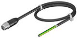 Euchner C-M12M05-05X034PV10,0-MA-123441 Connecting cable with plug connector M12, 10 m