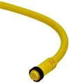 Euchner C-MINF12-12X1,0PU06,0-MA-102522 Connecting cable with plug connector MR12, 12-pin, 6 m