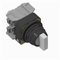 Allen Bradley 800H-2HRWH2KB6NX 800H PB