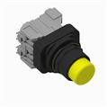 Allen Bradley 800HC-QRBH2YA2 30mm Momentary Push Button 800H PB