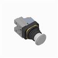 Allen Bradley 800H-FRXTPH16WD2Y 30mm Push-Pull Device 800H PB