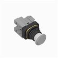 Allen Bradley 800H-FRXTQH2WAY 30mm Push-Pull Device 800H PB