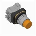 Allen Bradley 800TC-QTH2AAV 30mm Pilot Light 800T PB
