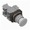 Allen Bradley 800T-FXQ24WG1 800T PB