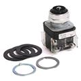 Allen Bradley 800T-QM24 30mm Momentary Push Button 800T PB