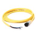 Allen Bradley 889D-B4EC-5 DC Micro Cable