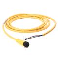 Allen Bradley 889D-F4HEDM-5 DC Micro Cable