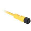 Allen Bradley 889D-F5ECDE-0M6 DC Micro Cable