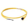 Allen Bradley 889D-M5EC-45 DC Micro Cable
