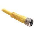 Allen Bradley 889P-F3ABD4M-4 Pico Cable